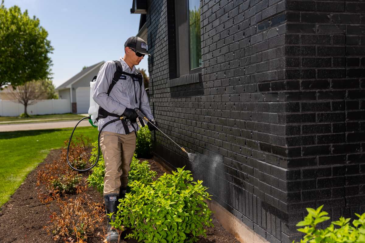 Professional pest control technician treating a home exterior in Charleston SC